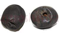 Shaligram 10718 150gm
